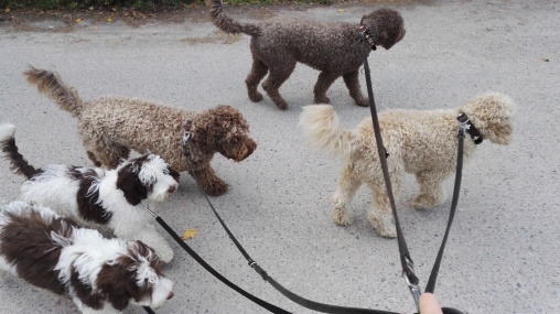 Walking with the all five